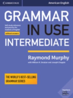 Grammar in Use Intermediate Student's Book without Answers Self-study Reference and Practice for Students of American English