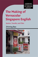 Making of Vernacular Singapore English System, Transfer, and Filter