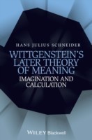 Wittgenstein's Later Theory of Meaning
