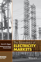 Economics of Electricity Markets