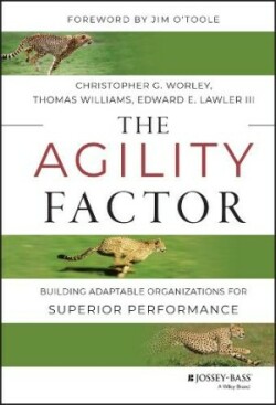 Agility Factor