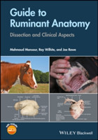 Guide to Ruminant Anatomy – Dissection and Clinical Aspects