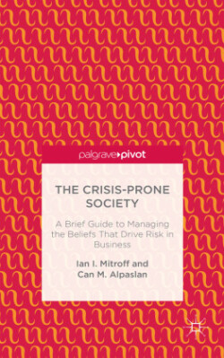 Crisis-Prone Society: A Brief Guide to Managing the Beliefs that Drive Risk in Business