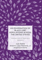 Examination of Black LGBT Populations Across the United States