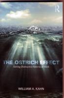 Ostrich Effect