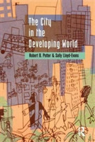 City in the Developing World