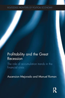 Profitability and the Great Recession