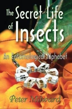 Secret Life of Insects