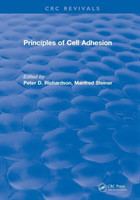 Principles of Cell Adhesion (1995)