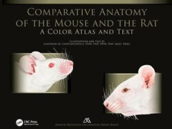 Comparative Anatomy of the Mouse and the Rat