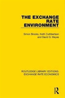 Exchange Rate Environment