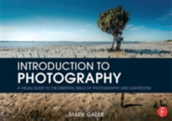 Introduction to Photography