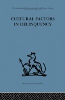 Cultural Factors in Delinquency