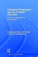Changing Pedagogical Spaces in Higher Education