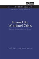 Beyond the Woodfuel Crisis