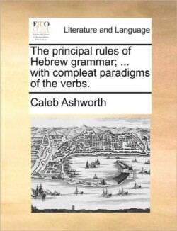principal rules of Hebrew grammar; ... with compleat paradigms of the verbs.