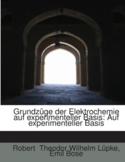 Grundzüge der Elektrochemie auf experimenteller Basis: Auf experimenteller Basis