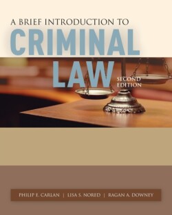 Brief Introduction to Criminal Law