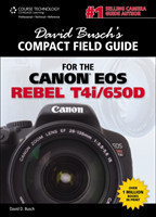 David Busch's Compact Field Guide for the Canon EOS Rebel T4i/650D