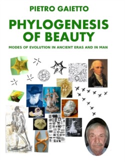 Phylogensesis of Beauty