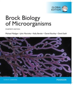 Brock Biology of Microorganisms, Global Edition -- Mastering Microbiology with Pearson eText