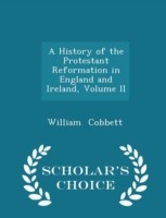 History of the Protestant Reformation in England and Ireland, Volume II - Scholar's Choice Edition