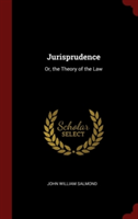 Jurisprudence: Or, the Theory of the Law