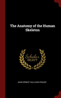 The Anatomy of the Human Skeleton