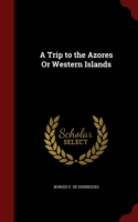 Trip to the Azores or Western Islands