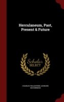 Herculaneum, Past, Present & Future