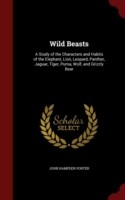 Wild Beasts