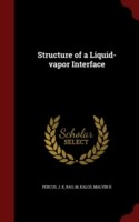 Structure of a Liquid-Vapor Interface