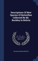 Descriptions of New Species of Butterflies Collected by Mr. Buckley in Bolivia