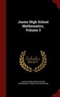 Junior High School Mathematics, Volume 3