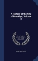 History of the City of Brooklyn; Volume 3