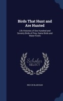 Birds That Hunt and Are Hunted