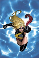 Captain Marvel: Carol Danvers - The Ms. Marvel Years Vol. 1