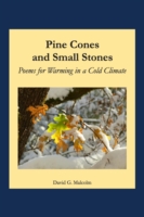 Pine Cones and Small Stones