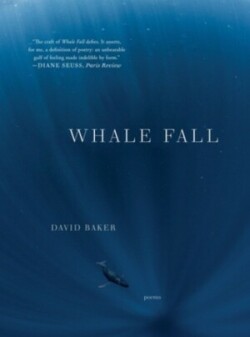 Whale Fall