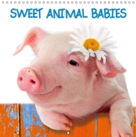 Sweet Animal Babies (Wall Calendar 2015 300 Ã— 300 mm Square)