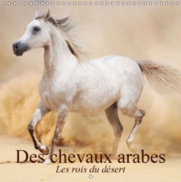 Des chevaux arabes * Les rois du desert (Calendrier mural 2015 300 Ã— 300 mm Square)