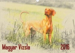 Magyar Vizsla 2016 / UK-Version 2016