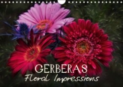 Gerberas Floral Impressions 2016