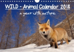 Wild - Animal Calendar 2018 / UK Version 2018