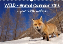 Wild - Animal Calendar 2018 / UK Version 2018