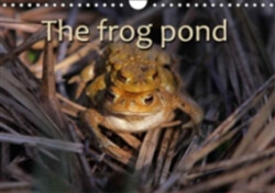 Frog Pond / UK-Version 2018