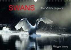 Swans / UK-Version 2018