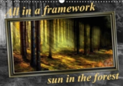 All in a Framework - Sun in the Forest / UK-Version 2018
