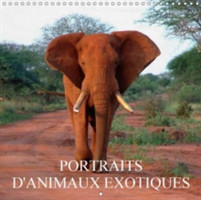 Portraits D'animaux Exotiques 2018