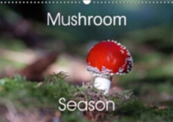 Mushroom Season 2018